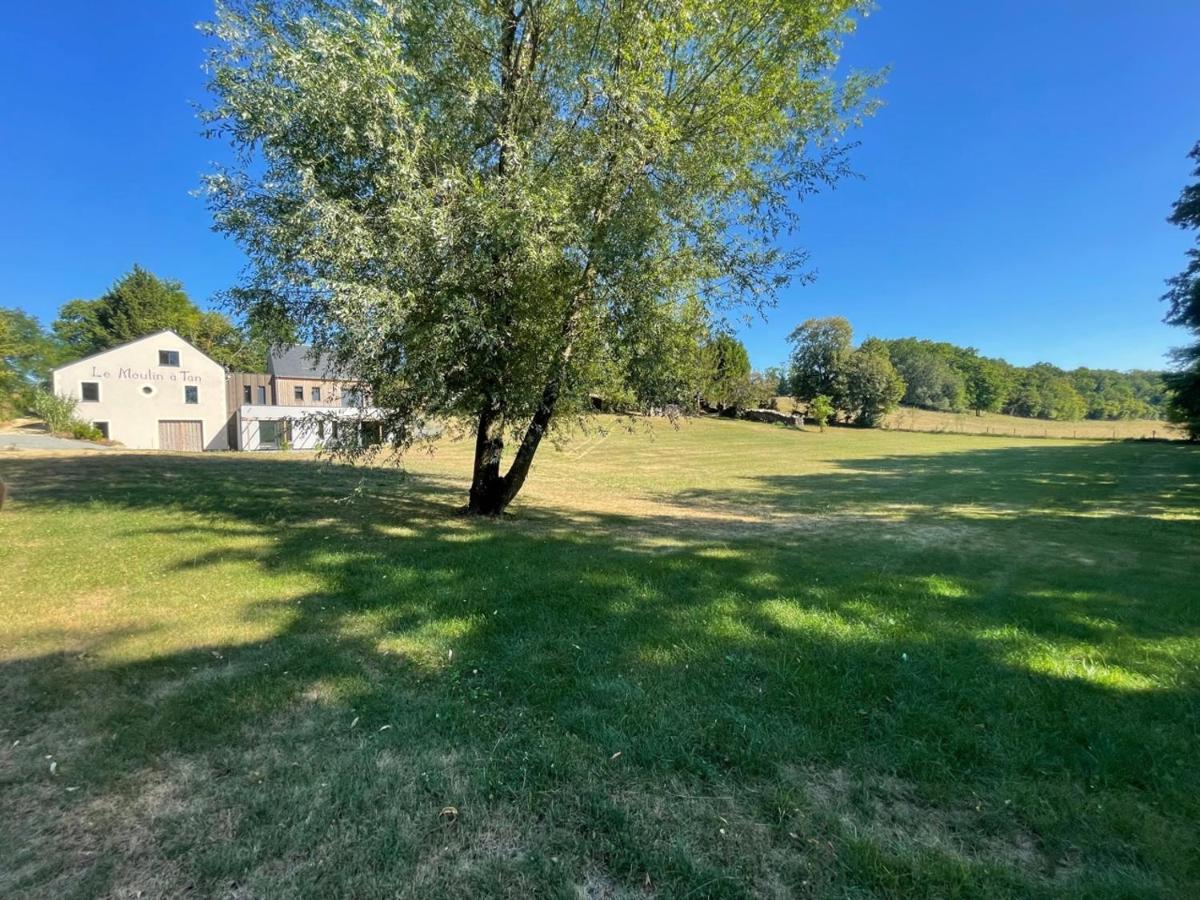 Gites Du Moulin A Tan A Sache 37 Εξωτερικό φωτογραφία